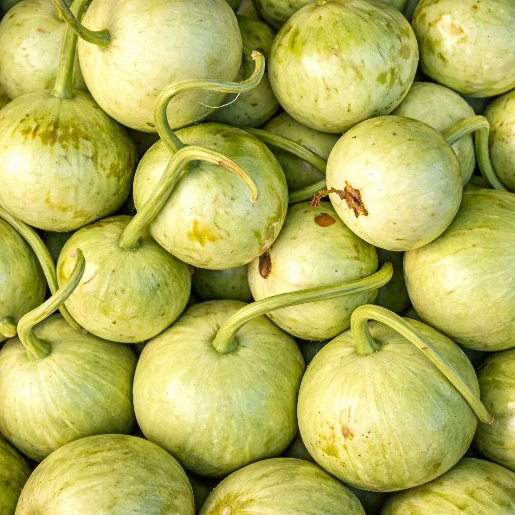Ghiya