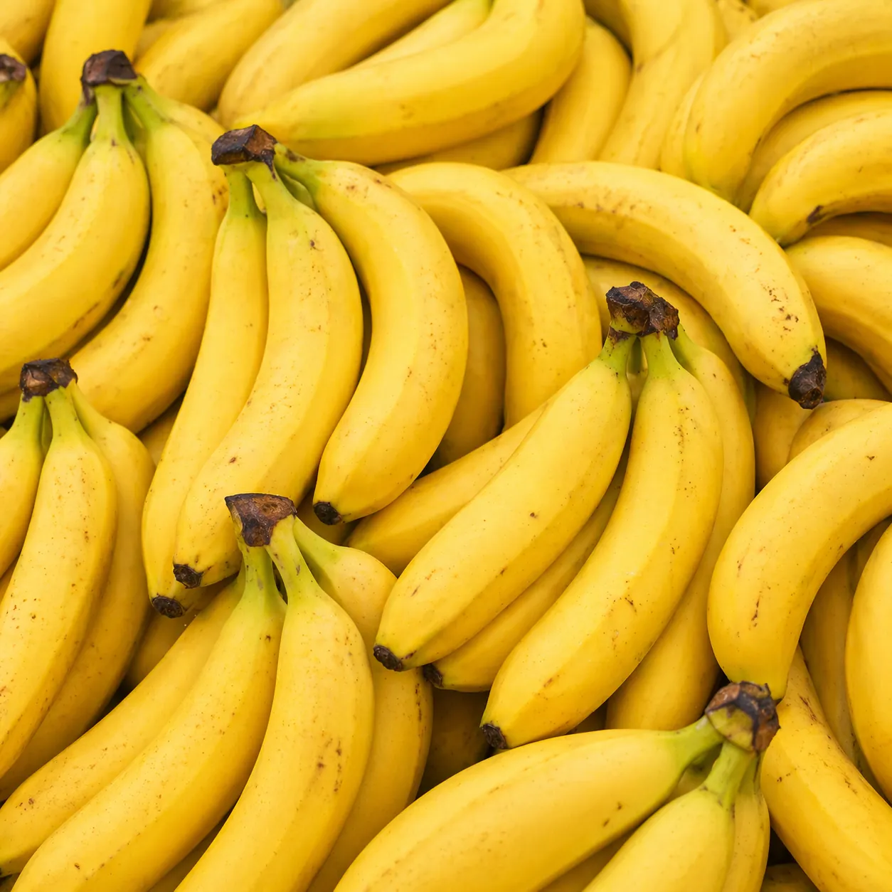 Kela