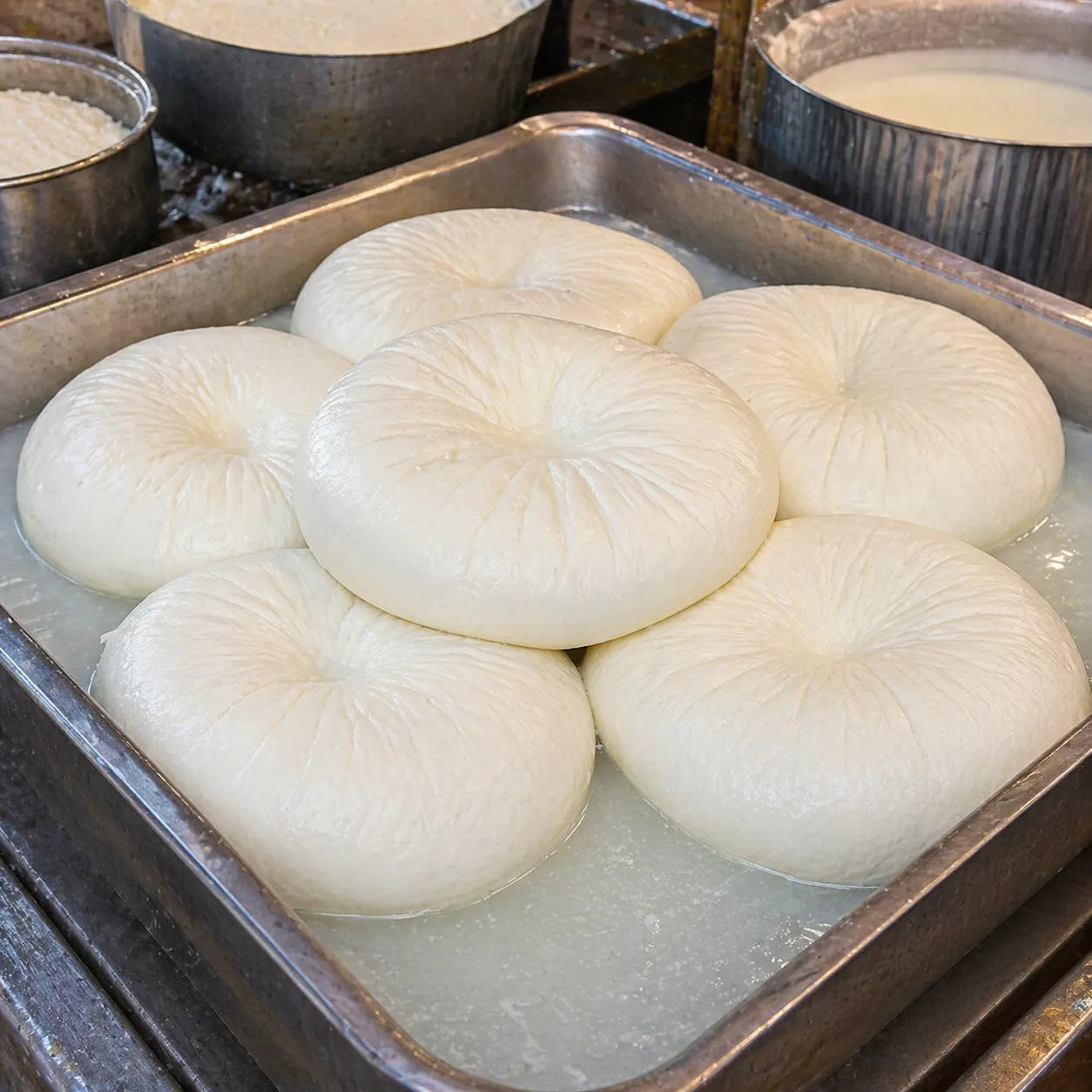 Paneer
